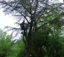 On commence le rangement du terrain