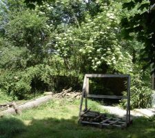 Sapin parterre Un Grand Merci à EMERIC,mais tu aurais put ranger,non.LOL