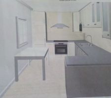 Vue de face de l'implantation de la cuisine que nous avons choisie