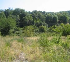 Terrain sur lequel sera construit le lotissement