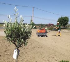 Aplanissement du terrain