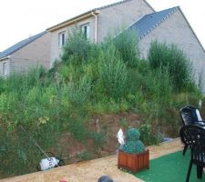 Ben y a plus qu'à désherber tt ça!!!!!!!!!!!!!!!!!