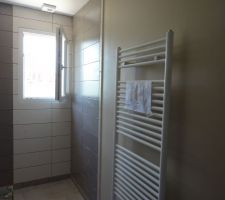 La faience de la salle de bain.