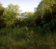 Notre terrain vu du cot&eacute; dominant