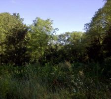 Notre terrain au beau matin d'&eacute;t&eacute;