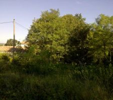 Notre terrain au beau matin d'&eacute;t&eacute;, avec sur le cot&eacute; nos plus proche voisin.