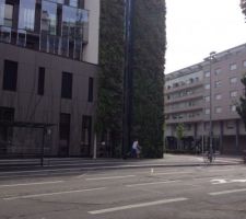 Mur végétal a strasbourg