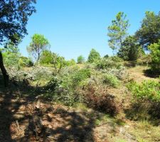 On commence a y voir clair