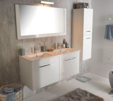 Meuble SdB (qui sera sans la colonne)