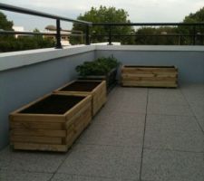 Terrasse côté chambre, aménagée en petit coin potager !