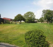 "au 1er plan le buis repiqu&eacute; d&eacute;but juillet qui repousse tr&eacute;s bien et au fond pr&eacute;vision pour faire une petite gloriette autour du gros buis.JPG"