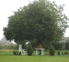 Projet 1 de réalisation d'une petite gloriette à l'arrière de la maison sous le gros buis ....à voir....