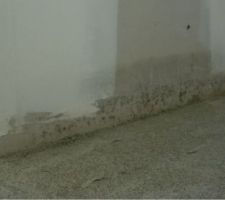 Moisissures mur int&eacute;rieur