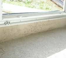 Moisissures mur ext&eacute;rieur sous porte fen&ecirc;tre