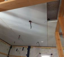 Faux plafond de la salle de bain