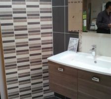 Faience slle de bains