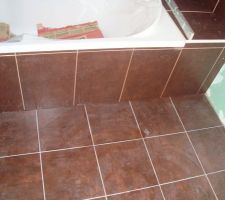Admirer la pose des carrelages et faiences.
aucun alignement. Ce que vous ne voyez pas, c'est les retours sur le bord de baignoire, le d&eacute;crocher du tablier. Les joints non uniformes au sol.
Et les joints ont &eacute;t&eacute; faits avec des morceaux de cartons (constat&eacute; par huissier)