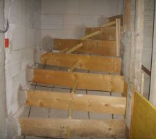 L'escalier,ça c'est pas moi qui l'ait fait!