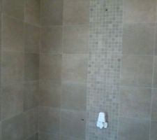 Carrelage mural de la douche