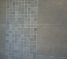 Carrelage mural de la douche