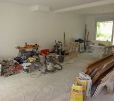 Salon SAM avec sous couche et plafons def...et du fouillis!