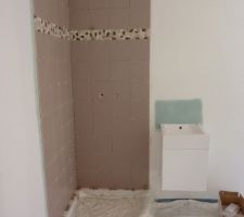 Coin douche du bureau/chambre d'amis