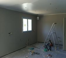 Cuisine couleur galet ( dulux) vu de la salle à manger