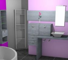 Notre SDB bon les couleurs on changer depuis aussi de chez schmidt
(la douche se situe derrière les miroirs)