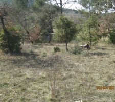 Terrain en MARS 2012