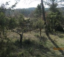 Terrain en MARS 2012