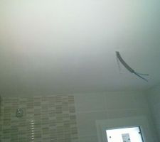 Plafond SdB du RDC peint