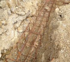 Cadre toujours fait maison, dans son nid caillouteux...