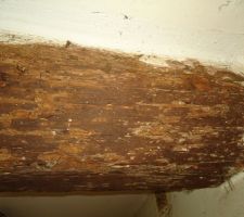 Poutre cuisine endommagée, côté droit face au nord.