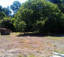 Au fond du chemin d'acc&egrave;s