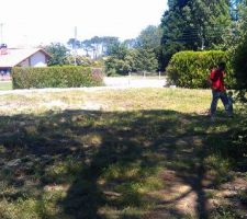 Vu depuis le fond du terrain, entre les sapinettes c'est notre entr&eacute;e