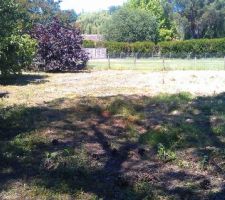 Toujours vue depuis le fond du terrain, l'autre c&ocirc;t&eacute;