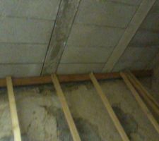 Mur pour ouverture sur l'ext&eacute;rieure