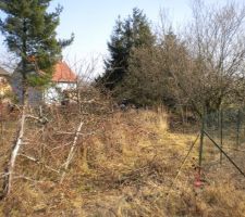 L'arri&egrave;re du terrain