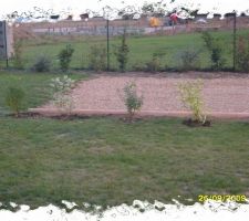 Plantation de haies le long de la bordure
" buddleya dav. EMPIRE BLUE"
" cornus alba GOUCHAULTI
" cournus alba ELEGANTISSIMA "
" spirea x lillardii"