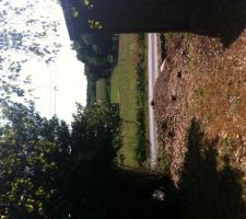 Vue sur les champs... et les vaches !