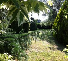 La preuve en images qu'un s&eacute;rieux &eacute;lagage s'impose! :)