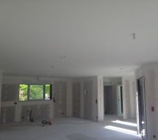 Peinture des plafonds