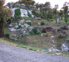Les premices du terassement:
debrousaillage, puis on coupe et debite les chenes verts pour faire des buches de barbecue (y'en as pour 100ans de merguez)