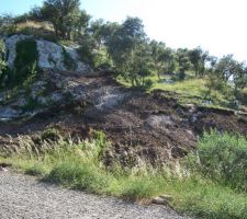 Plus d'arbres, j'ai commenc&eacute; a enlever toute la terre que j'ai pu jusqu'au rocher en attendant l'arriv&eacute; du brise roche