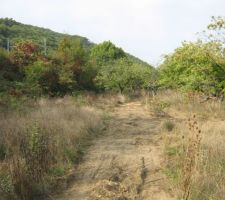 Terrain : emplacement des lots 7 &agrave; 13