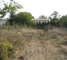 Terrain : lot 5 et 6