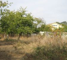 Terrain : lot 7 à 13