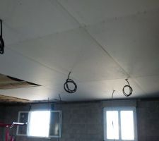 Plafond du premier en cours