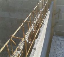 Armature en place et prise dans les aciers verticaux des blocs à bancher, crossés sur l'armature...