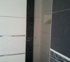 Douche sdb principale reduite pour placer une niche pratique